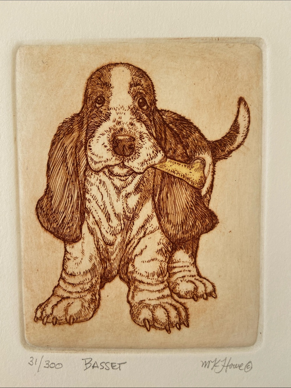 Basset Hound Etching Print in Brown and Cream